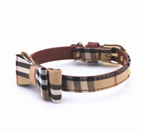 furberry-yorkie-leash-and-bowtie-collar