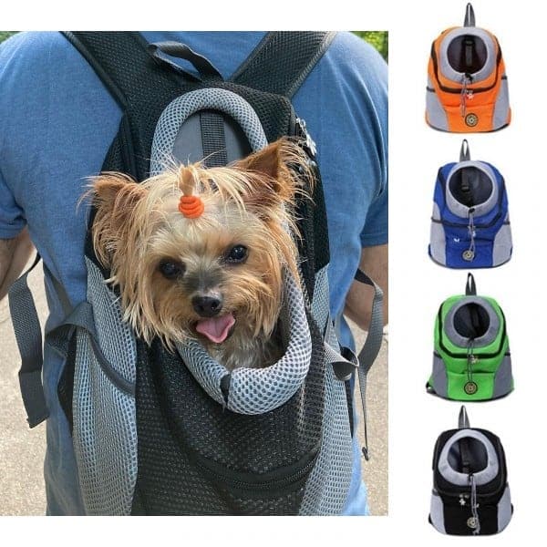 carrier for yorkies