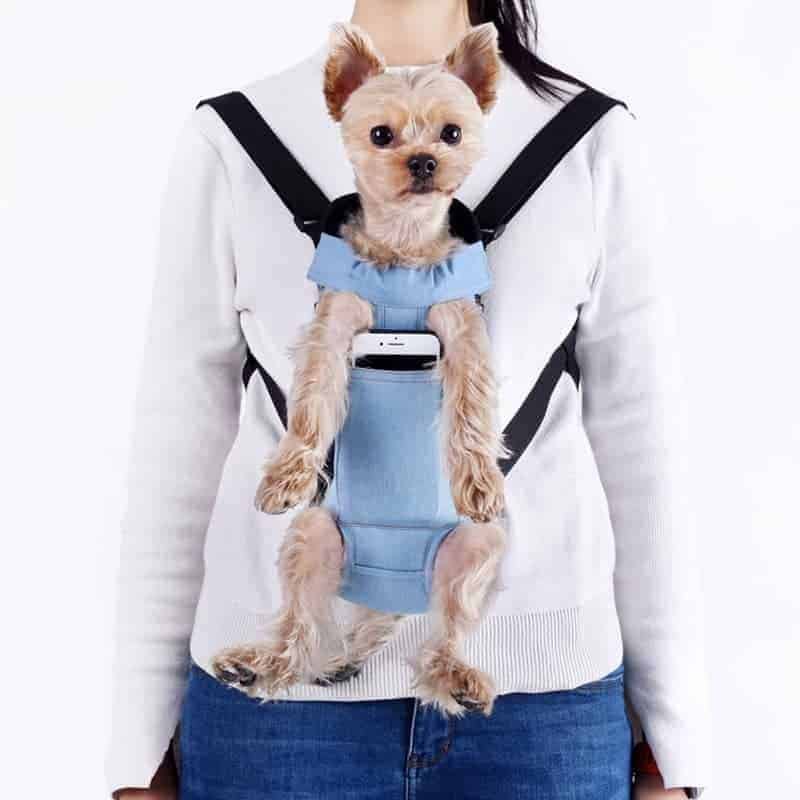 dog carrier for yorkies