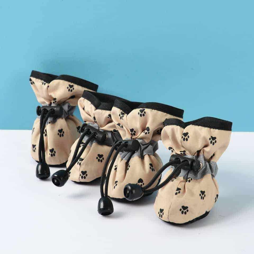yorkie shoes