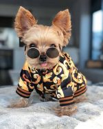 boston-terrier-hoodie
