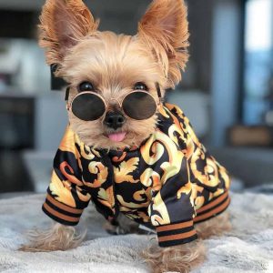boston-terrier-hoodie