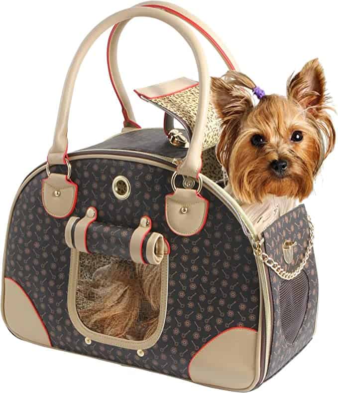 Louis Vuitton Pet Carrier With Dog Stock Photo - Download Image