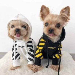 small-dog-hoodies-woof