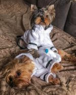 this-dog-loves-sleep-luxury-bathrobe
