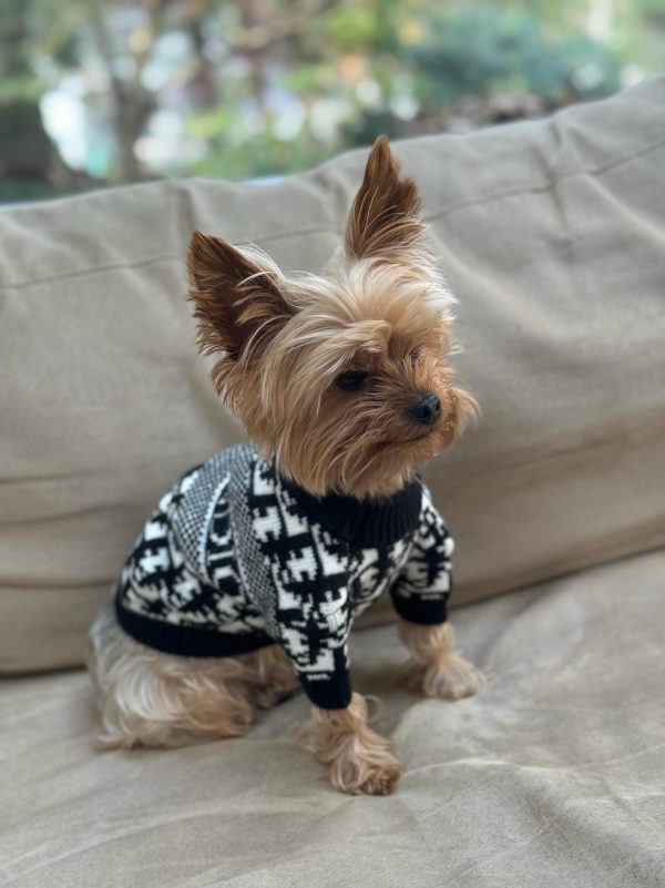 dogior-dog-sweater