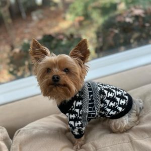 dogior-dog-sweater