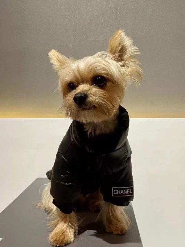 designer-dog-clothes-jacket