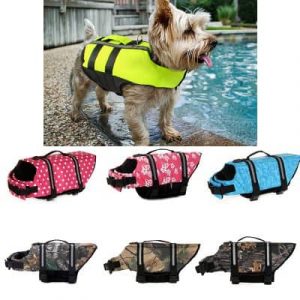 yorkshire-terrier-life-swimming-vest