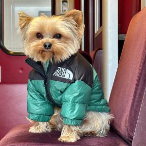 the-dog-face-puffer-jacket