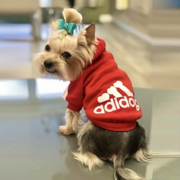 adidog-dog-hoodie