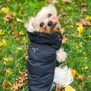 pravda-winter-dog-vest-jacket
