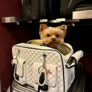 peco-luxury-dog-carrier