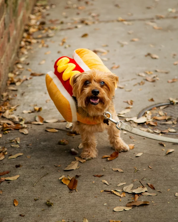 hotdog-costume
