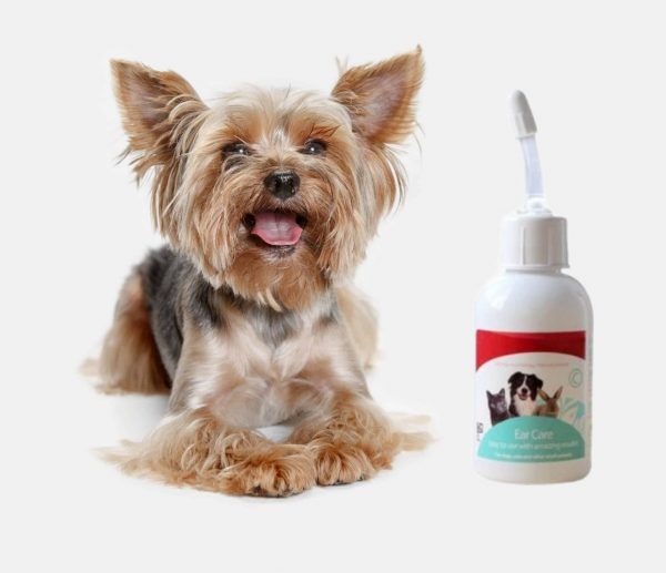 yorkie-ear-cleaning-solution