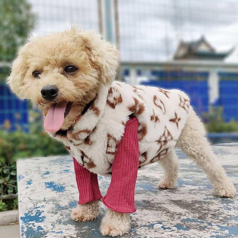 vuitton dog coat