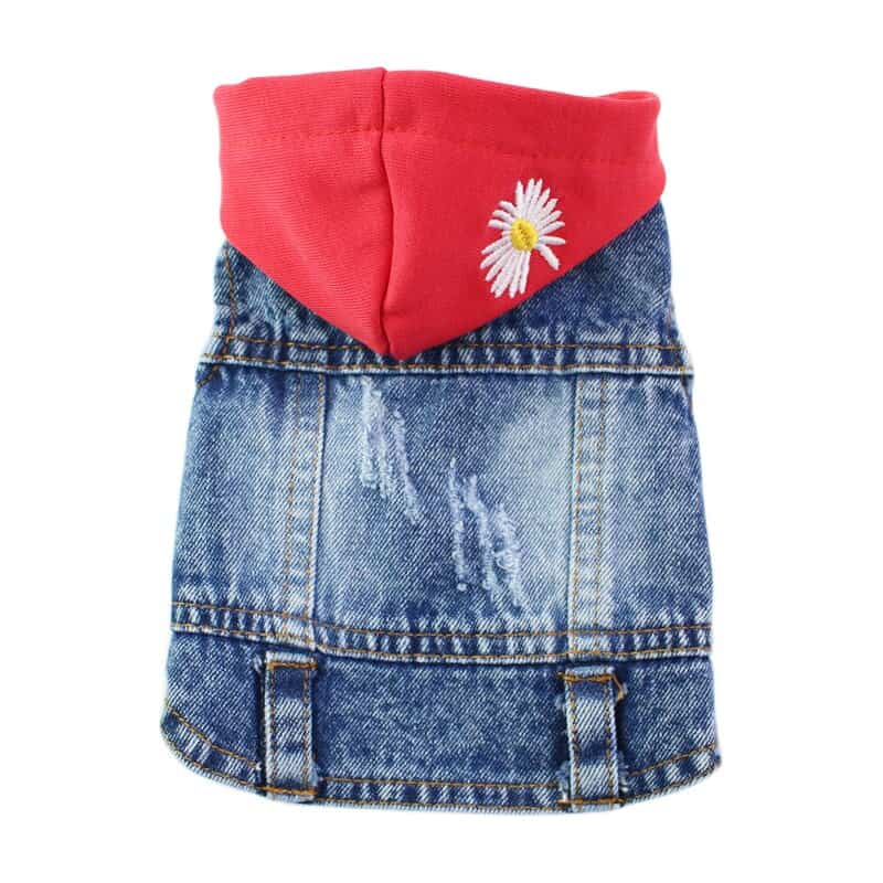 Cotton Girls Jeans Top Set, Age Group: 4-6 Years at Rs 450/piece in Muktsar  | ID: 2851582503848
