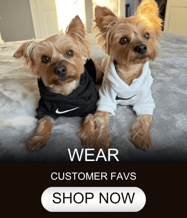 Yorkies Gram - Official Yorkie Clothes Shop 2023