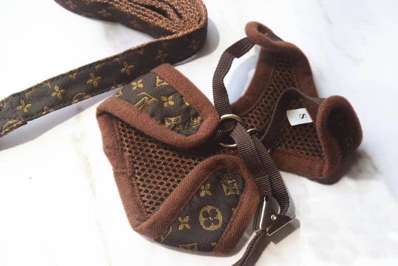 LV Pup Leather Harness & Leash