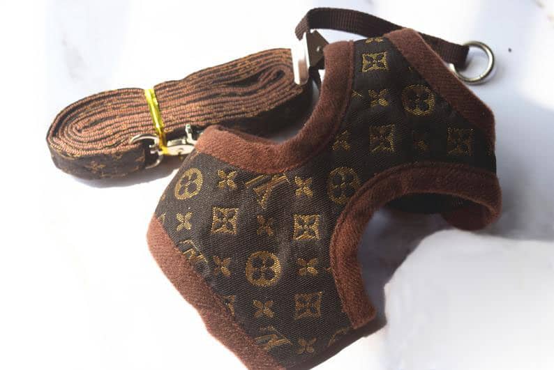 Louis Vuitton Dog Harness and Leash