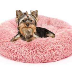 yorkie-soft-bed