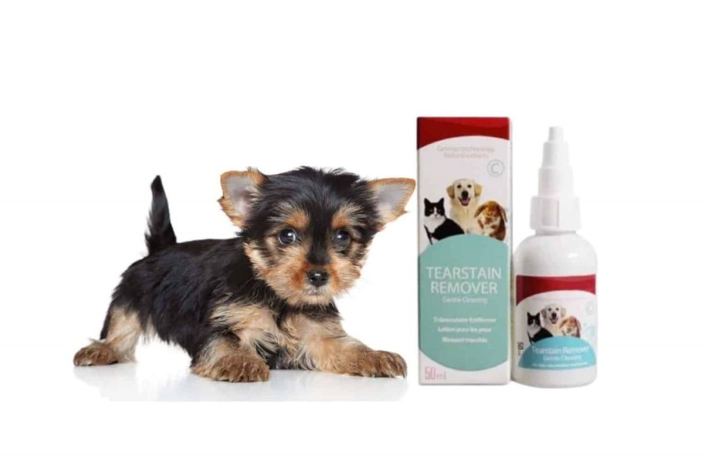 tear stain remover for yorkies