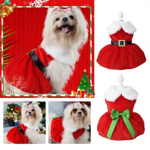 new-year-and-christmas-yorkie-clothes