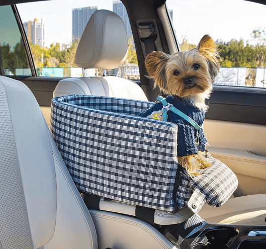 yorkie car seats