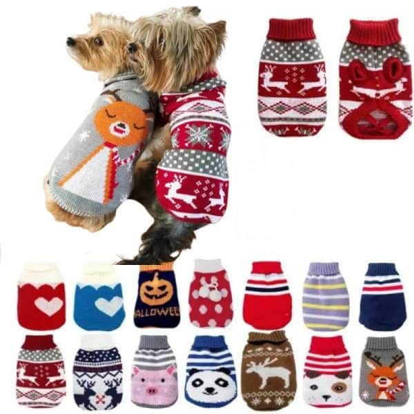 winter sweater for a yorkshire terrier
