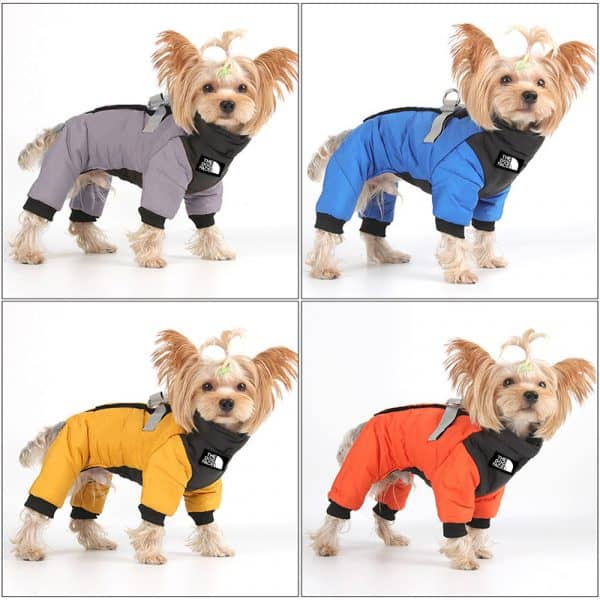 jumpsuit for yorkies